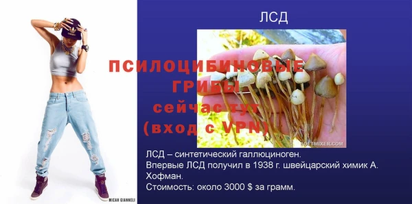 скорость Алзамай