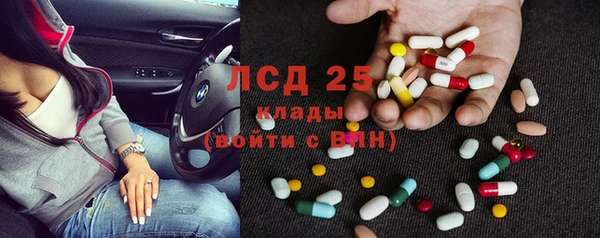 ПСИЛОЦИБИНОВЫЕ ГРИБЫ Алексеевка