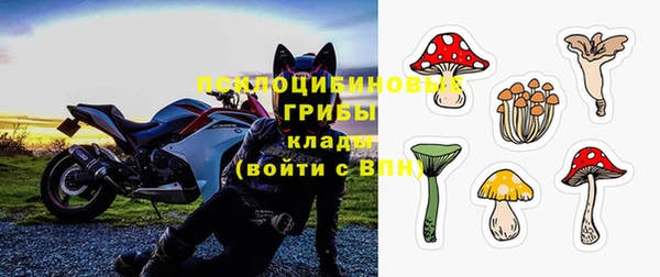 ПСИЛОЦИБИНОВЫЕ ГРИБЫ Алексеевка