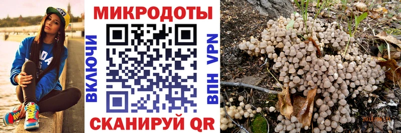 сайты даркнета как зайти  Заводоуковск  Псилоцибиновые грибы прущие грибы 